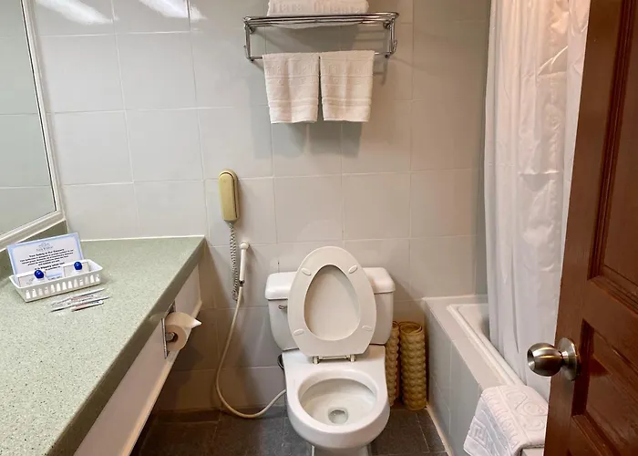 Maharaja Oriental Makati Apartment